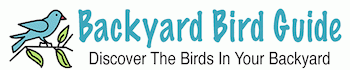 backyardbirdguide.com